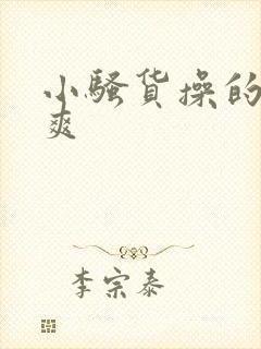 小骚货操的爽不爽