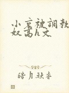 小哀被调教成肉奴高h文