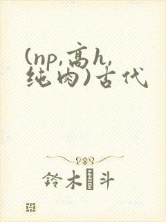 (np,高h,纯肉)古代