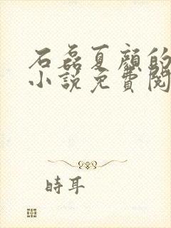 石磊夏颜的穿越小说免费阅读