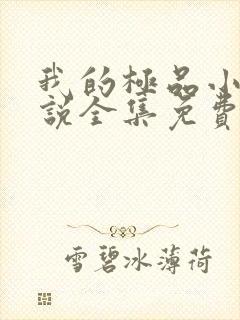 我的极品小姨小说全集免费阅读封面