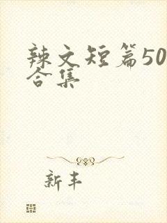 辣文短篇500合集