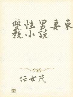 双性男妻束缚调教小说封面