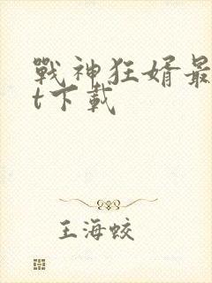 战神狂婿最txt下载封面