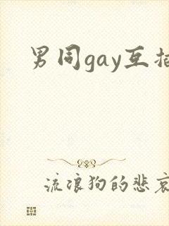 男同gay互插