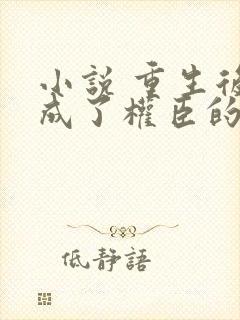 小说 重生后我成了权臣的掌中娇