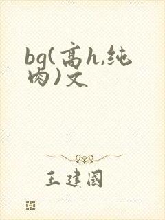 bg(高h,纯肉)文