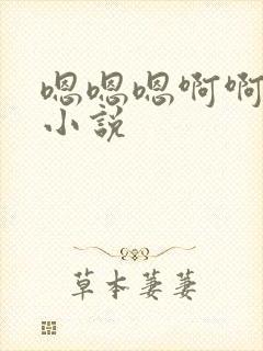 嗯嗯嗯啊啊高h小说