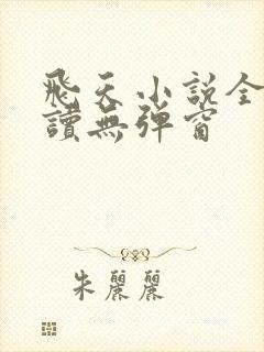 飞天小说全文阅读无弹窗