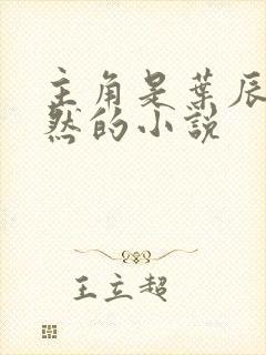 主角是叶辰萧初然的小说封面