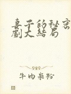 妻子的秘密电视剧大结局