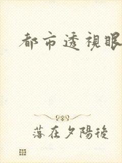 都市透视眼