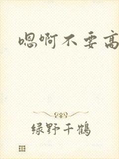 嗯啊不要高h文