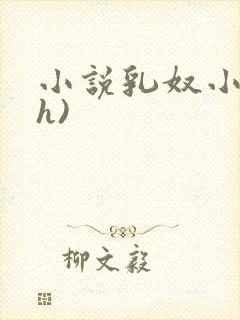 小说乳奴小小(h)