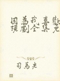 因为我喜欢你电视剧全集免费观看封面