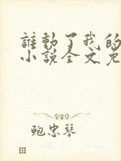 谁动了我的老婆小说全文免费阅读