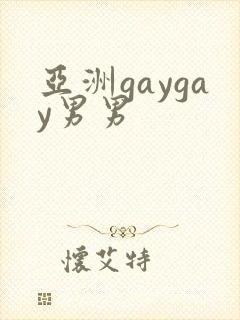 亚洲gaygay男男
