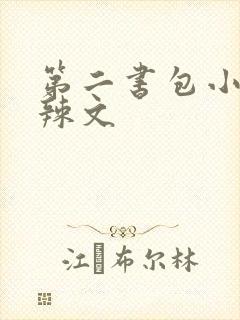 第二书包小说网辣文