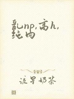 乱np,高h,纯肉