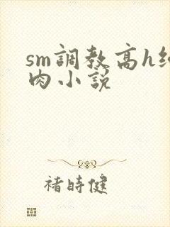 sm调教高h纯肉小说