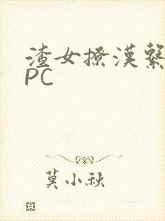 渣女撩汉系统NPC