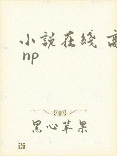 小说在线 高h np