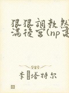 狠狠调教然后填满后宫(np高h)