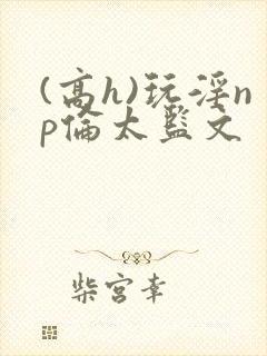 (高h)玩淫np伦太监文