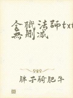 全职法师txt无删减