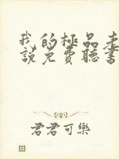 我的极品老婆小说免费听书