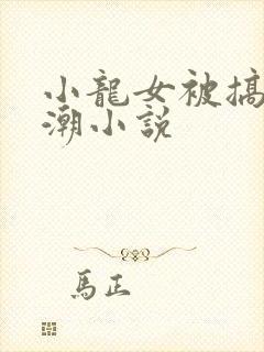 小龙女被搞上高潮小说