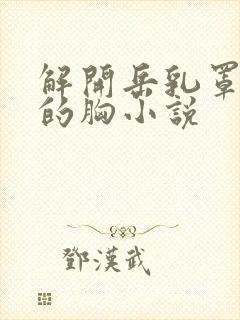 解开岳乳罩揉她的胸小说封面