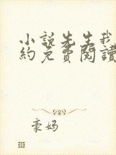 小说先生我们不约免费阅读全文