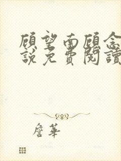 顾望南顾念北小说免费阅读最新章节