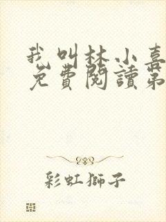 我叫林小喜全文免费阅读第二部封面