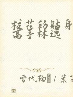 校花的贴身高手高手林逸封面