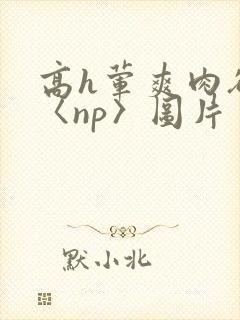 高h荤爽肉欲文〈np〉图片