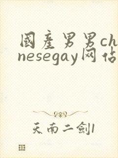国产男男chinesegay网站