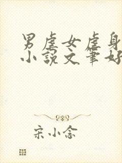 男虐女虐身现言小说文笔好