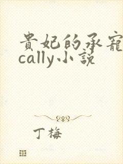 贵妃的承宠日常cally小说