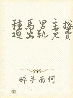 种马男主总是被迫出轨免费阅读封面