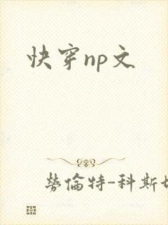快穿np文封面