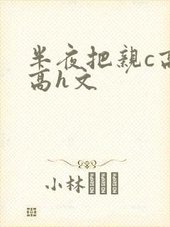 半夜把亲c高潮高h文