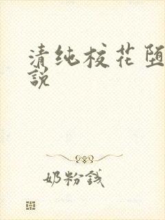 清纯校花堕落小说