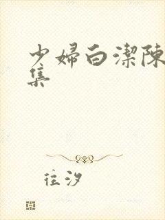 少妇白洁陈三全集封面