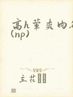 高h荤爽肉欲文(np)封面