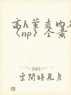 高h荤爽肉欲文〈np〉全黄封面