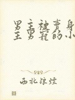 男主被卖身做女主男宠的小说