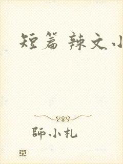 短篇 辣文小说