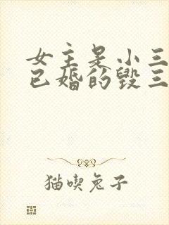 女主是小三男主已婚的毁三观小说